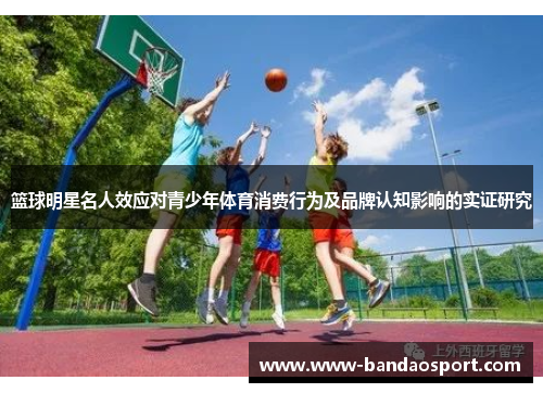 篮球明星名人效应对青少年体育消费行为及品牌认知影响的实证研究 篮球明星名人效应对青少年体育消费行为及品牌认知影响的实证研究