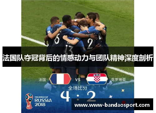 法国队夺冠背后的情感动力与团队精神深度剖析