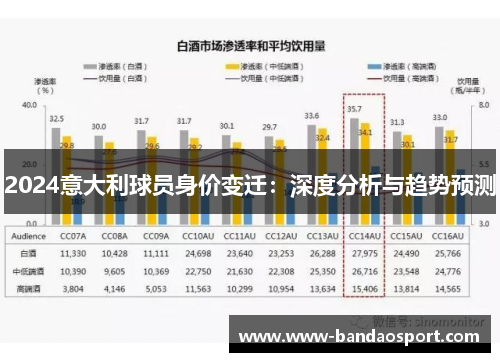 2024意大利球员身价变迁：深度分析与趋势预测