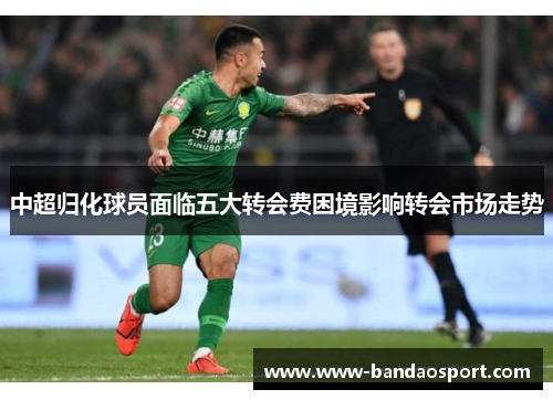 中超归化球员面临五大转会费困境影响转会市场走势 中超归化球员面临五大转会费困境影响转会市场走势