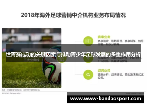 世青赛成功的关键因素与推动青少年足球发展的多重作用分析