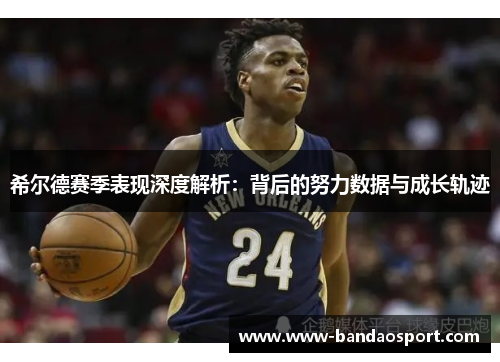 希尔德赛季表现深度解析：背后的努力数据与成长轨迹