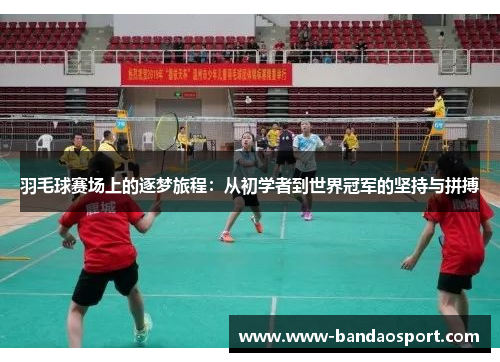 羽毛球赛场上的逐梦旅程：从初学者到世界冠军的坚持与拼搏