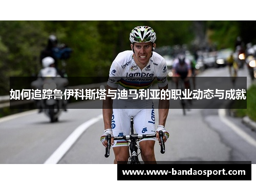 如何追踪鲁伊科斯塔与迪马利亚的职业动态与成就