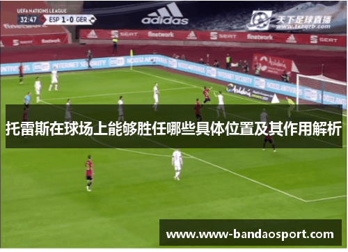 托雷斯在球场上能够胜任哪些具体位置及其作用解析
