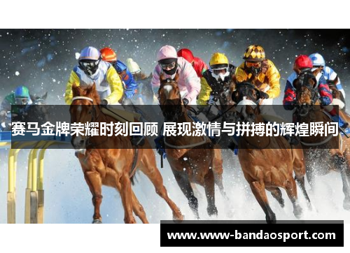赛马金牌荣耀时刻回顾 展现激情与拼搏的辉煌瞬间